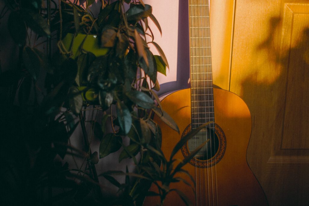brown acoustic guitar beside green plant